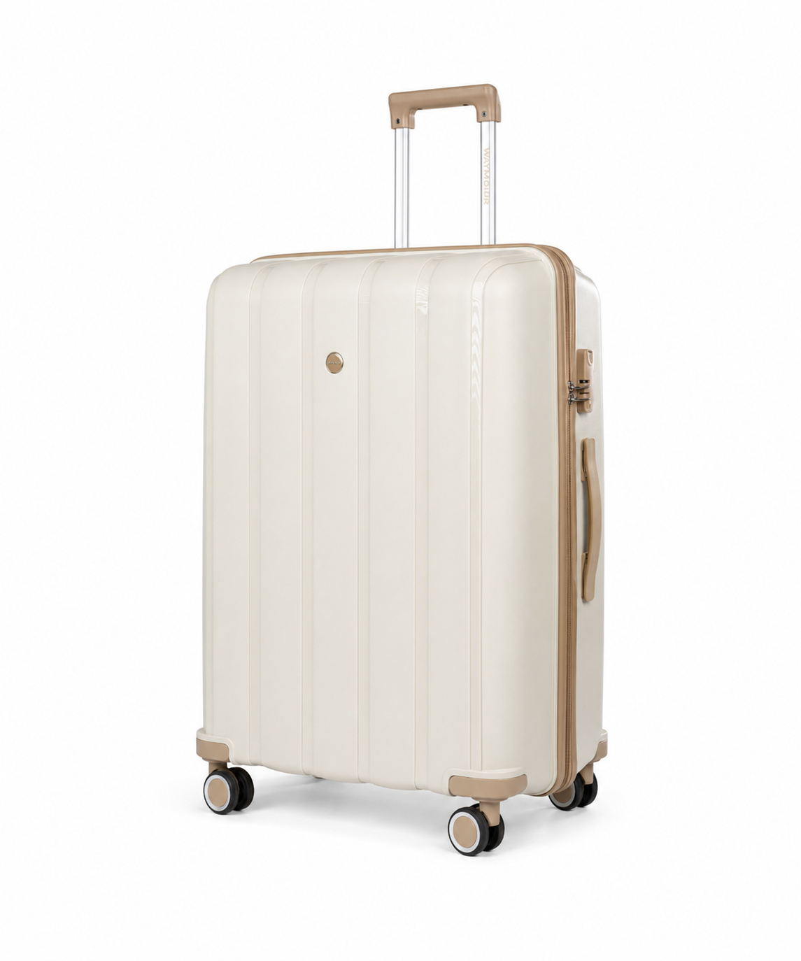 Sky Line Size 28 Inch Creamy Champaigne